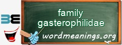 WordMeaning blackboard for family gasterophilidae